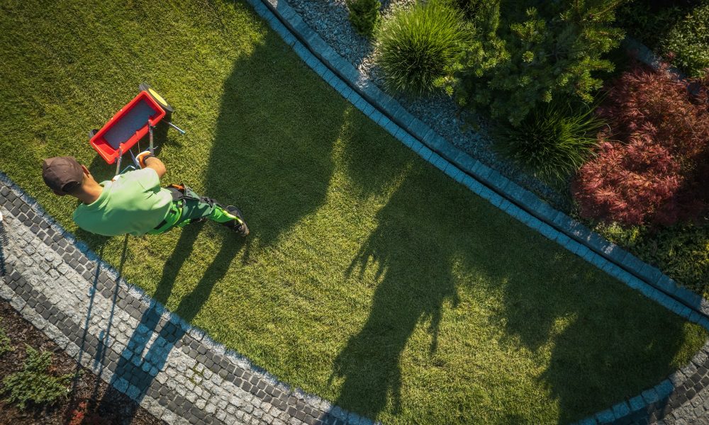 Gardener using a fertilizing distributor to feed the grass